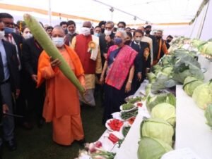 lucknow bottal guard