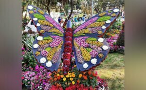 lucknow flower show