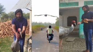 aarif saras eating together